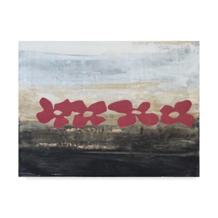Natalie Avondet 'Stenciled Posies Iii' Canvas Art,35x47